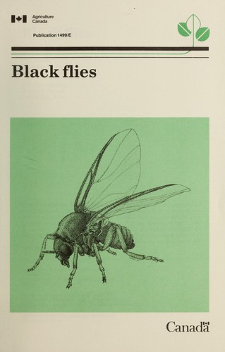 Black flies