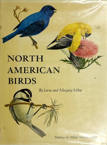North American Birds