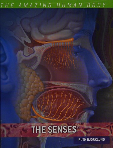 The senses