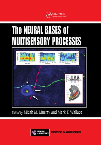 The Neural Bases of Multisensory Processes