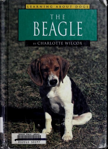 The Beagle (Learning about Dogs)