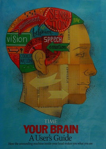 Your Brain