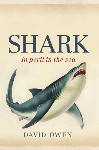Shark