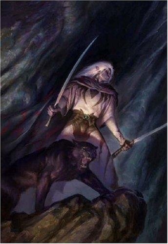 Forgotten Realms: The Legend of Drizzt Box Set Volumes 1-3