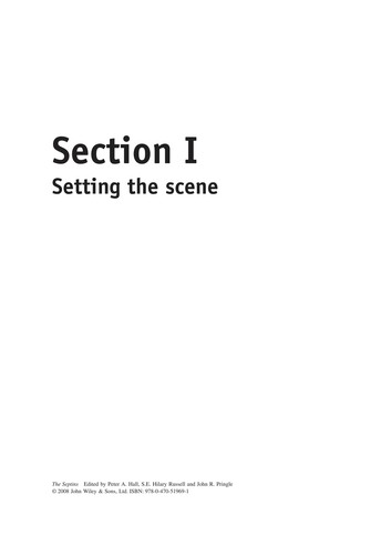 The septins