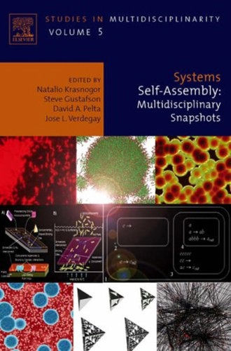 Systems self-assembly