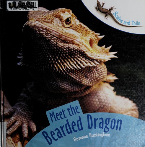 Meet the Bearded Dragon