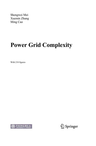 Power Grid Complexity