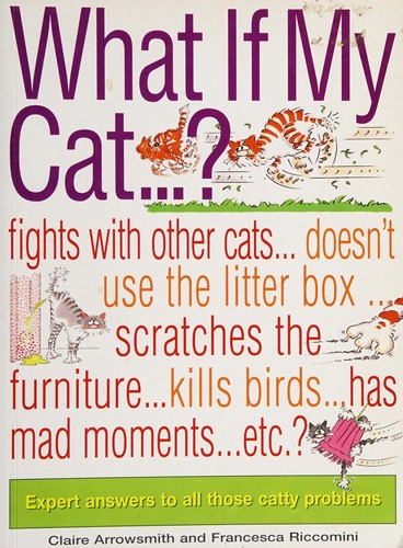 What if my cat?