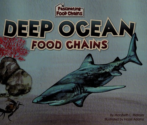 Deep ocean food chains