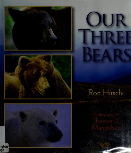 Our three bears