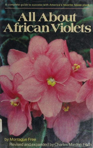 All About African Violets