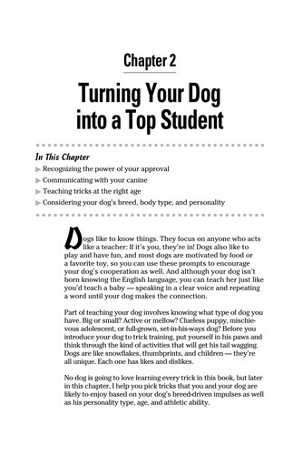 Dog Tricks for Dummies