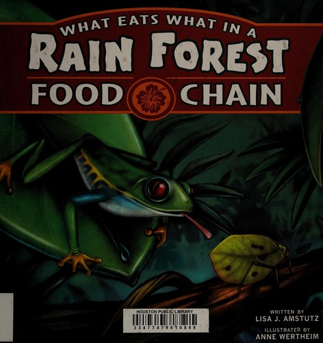 What Eats What in a Rainforest Food Chain