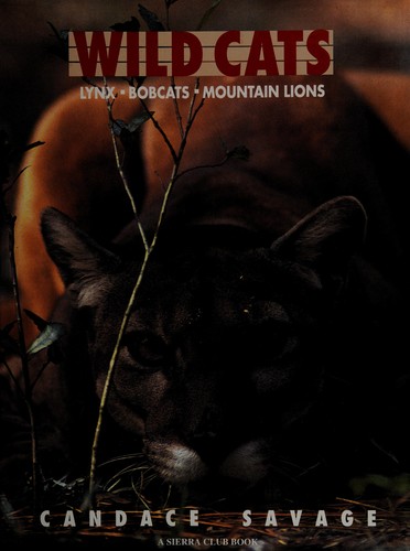 Wild cats