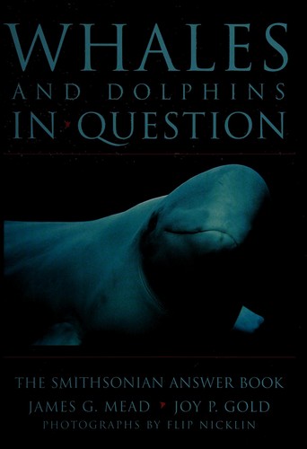 Whales & Dolphins in Question