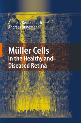 Müller cells in the healthy and diseased retina