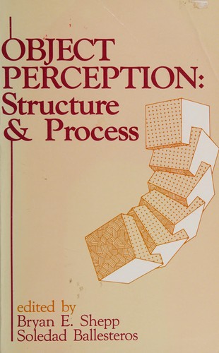 Object Perception