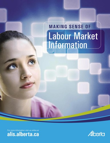 Making Sense of Labour Market Information