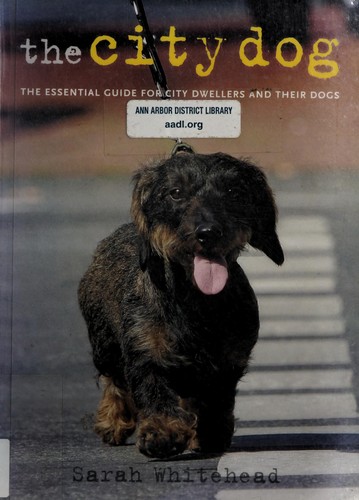 The City Dog