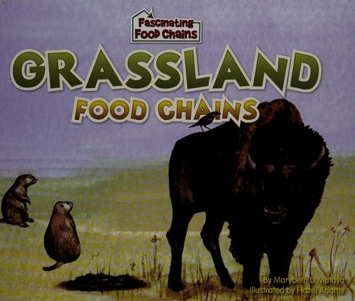 Grassland food chains