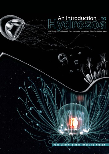 An Introduction to Hydrozoa