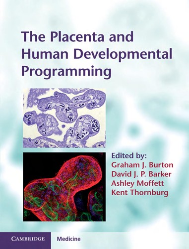 The placenta and human developmental programming