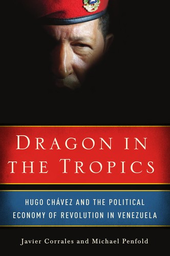 Dragon in the tropics
