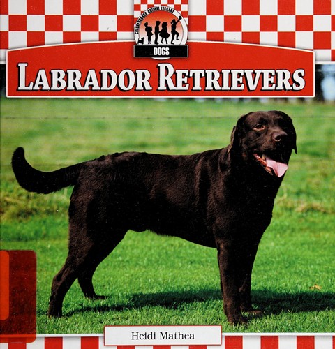 Labrador Retrievers