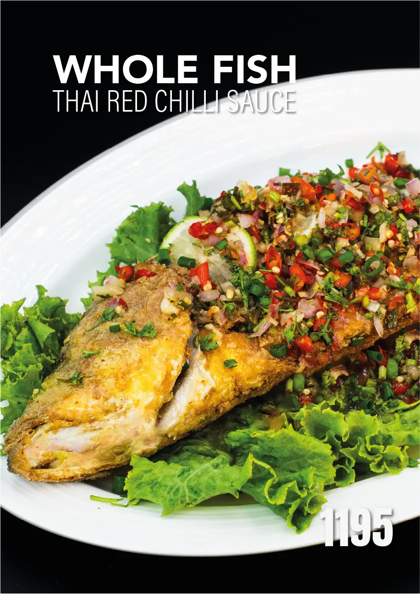 North Fish Menu Fresh Seafood Delights