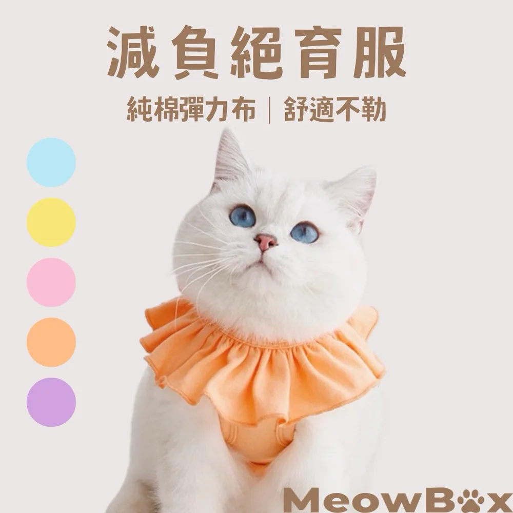 貓咪減負絕育服