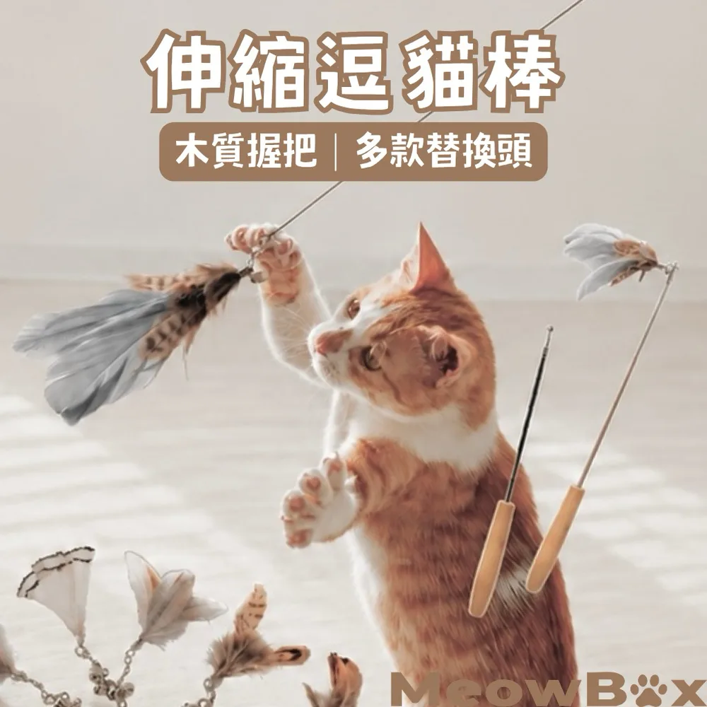 木桿伸縮逗貓棒(送替換頭)