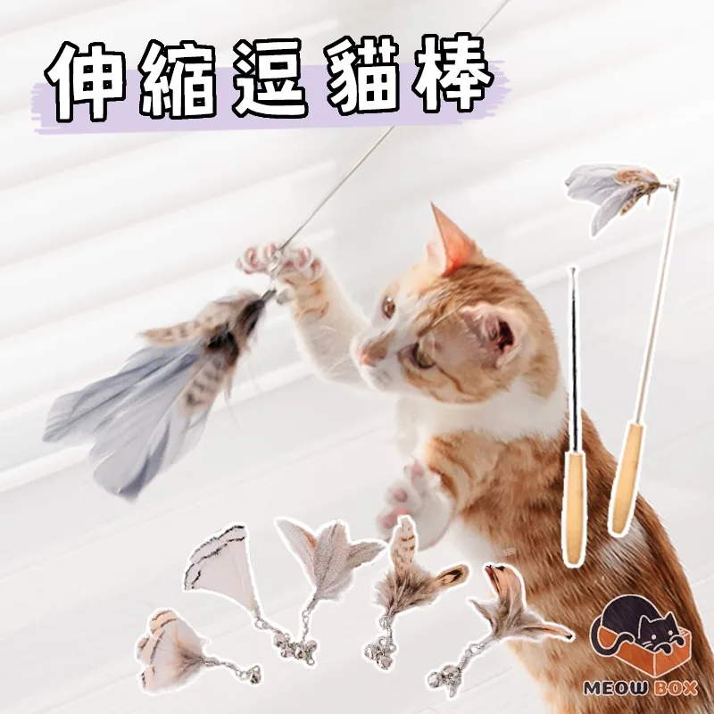 木桿伸縮逗貓棒(送替換頭)