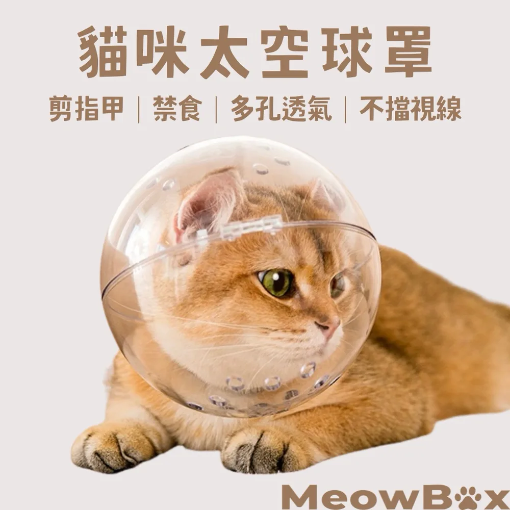 貓咪太空頭罩(防舔防咬)
