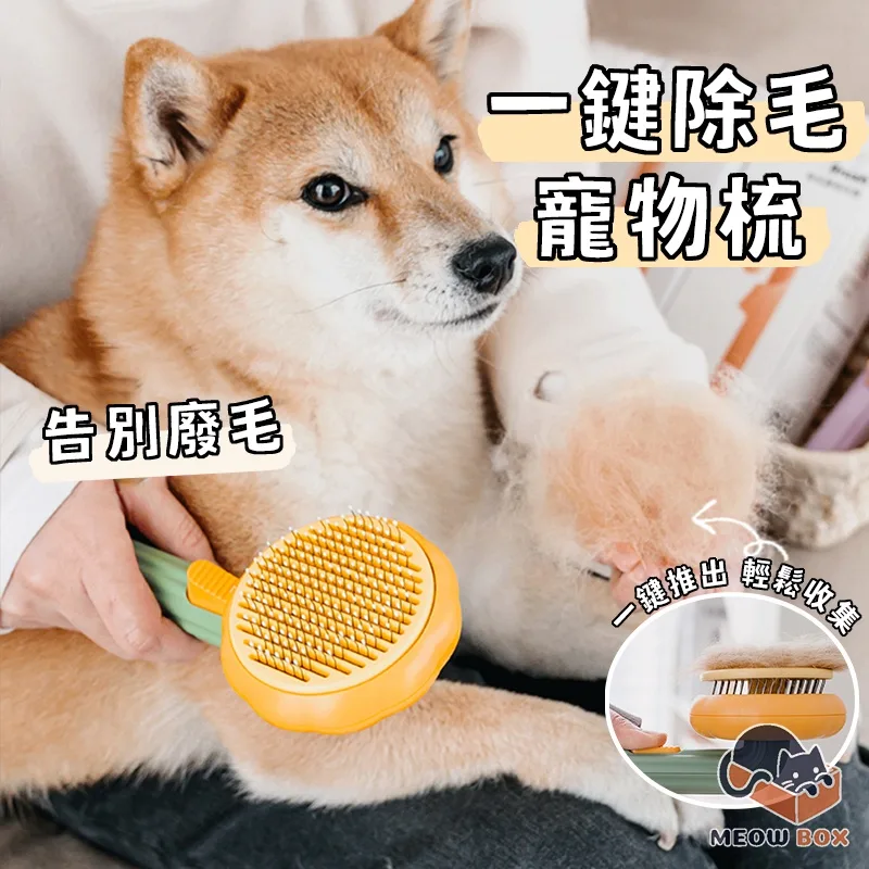 除毛寵物梳