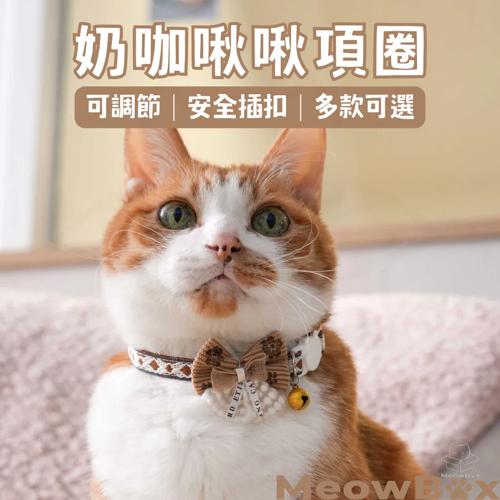 奶咖啾啾項圈