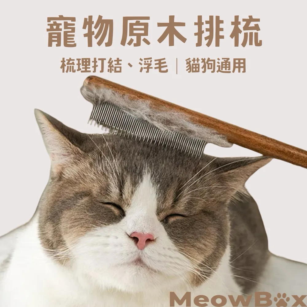 專業原木排梳(除蚤開結)