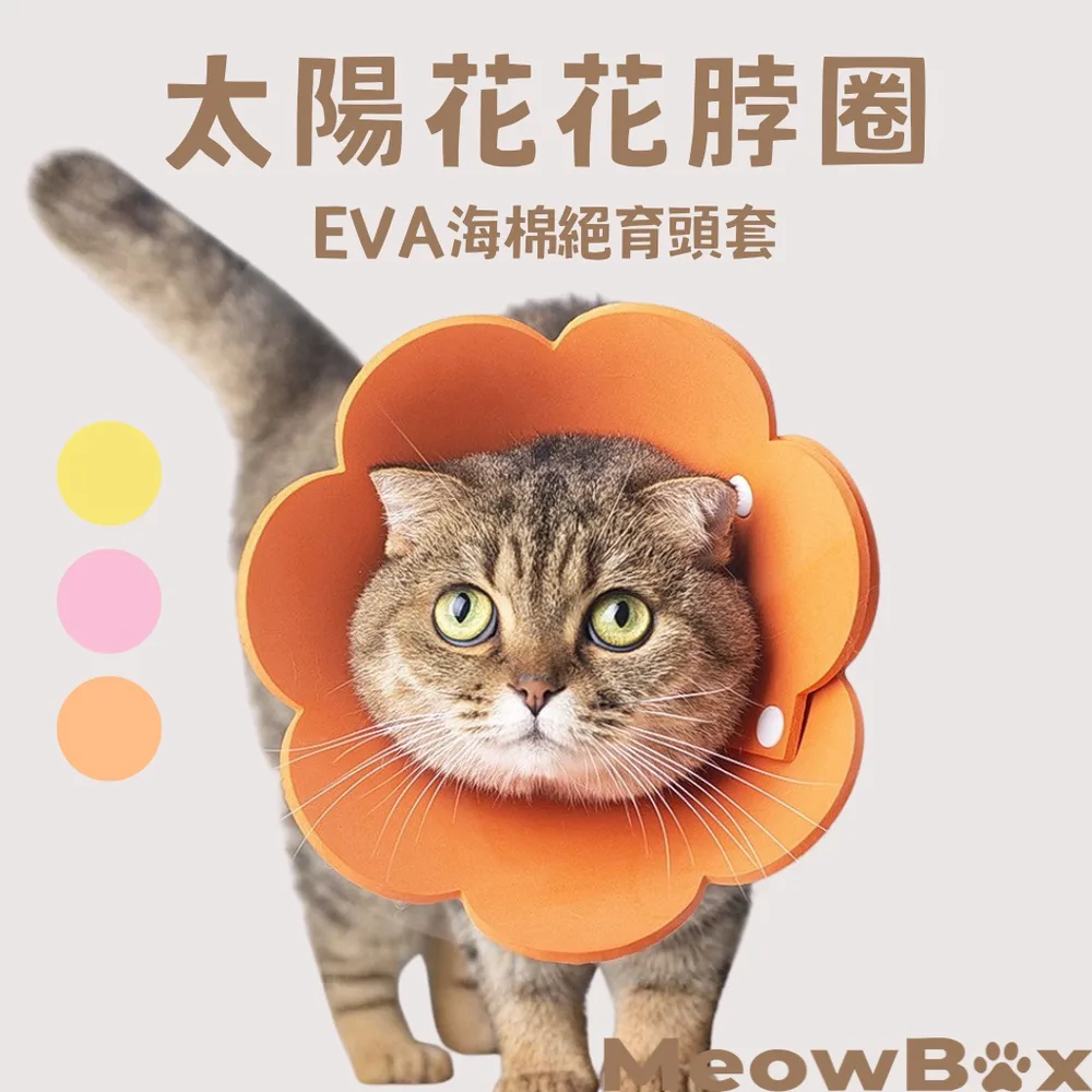 太陽花花脖圈