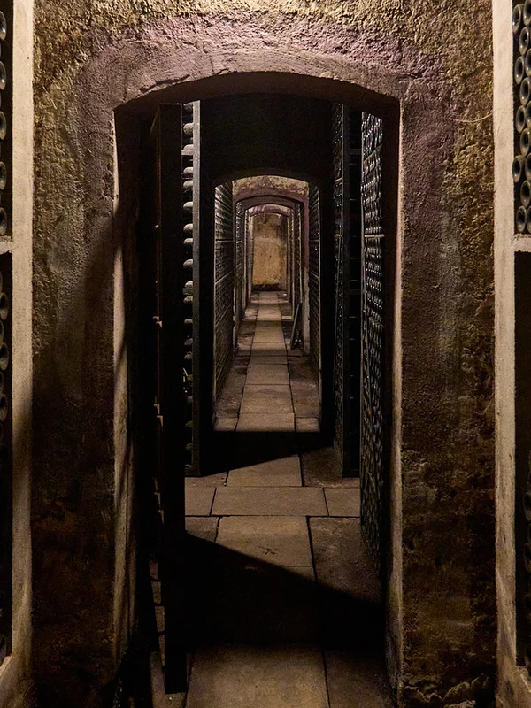 Bodegas Pirineos