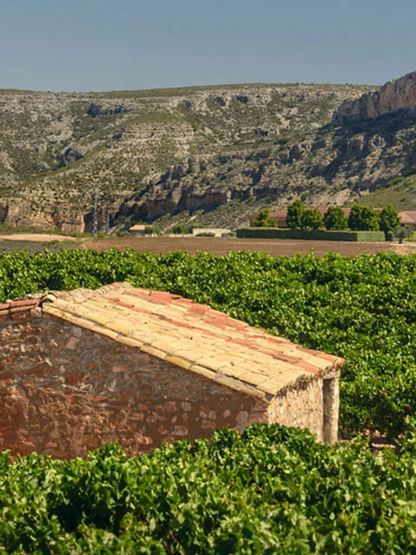Bodegas de Aylés