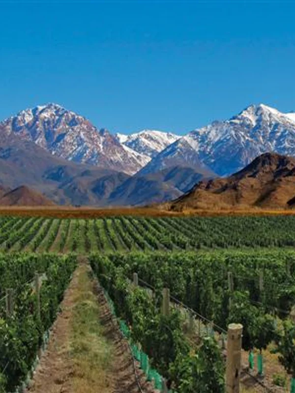 Maleante