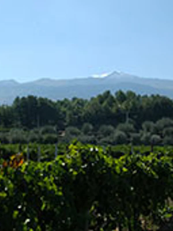 Tenuta delle Terre Nere (Marco de Grazia)
