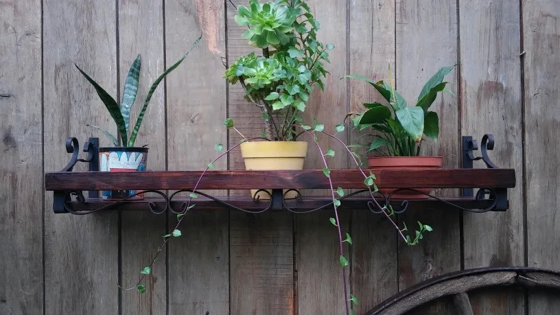 Porta Macetas. Maceteros Hierro Colgante