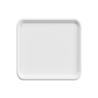 Classic Serving Tray