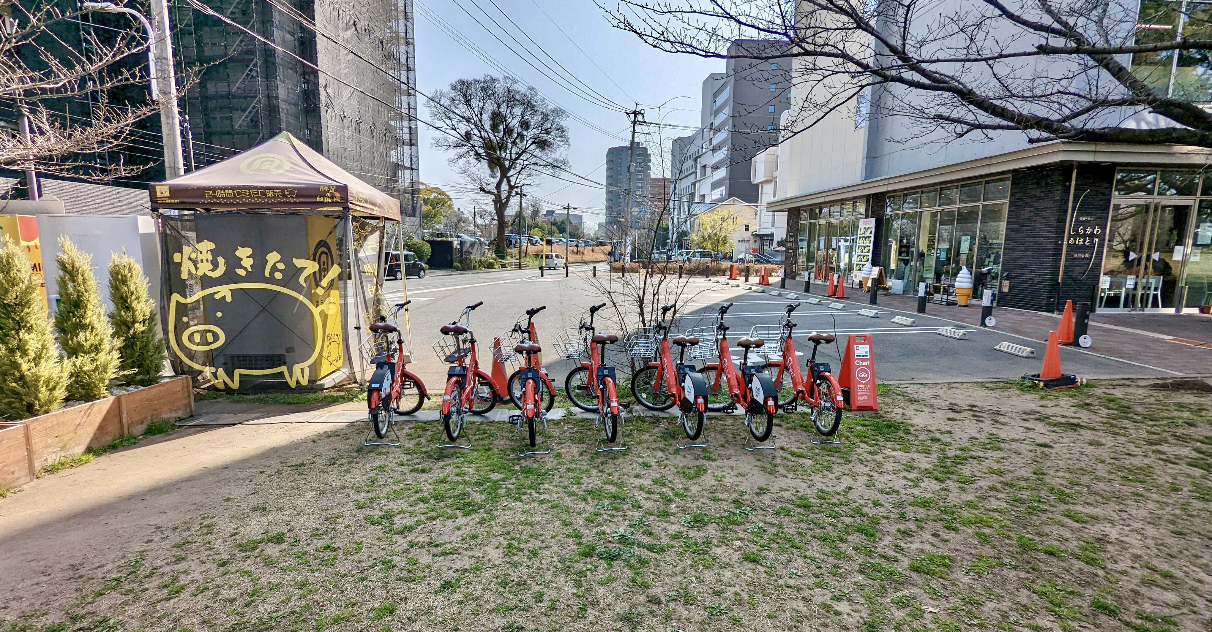 熊本市中央公民館 Charichari(チャリチャリ) image