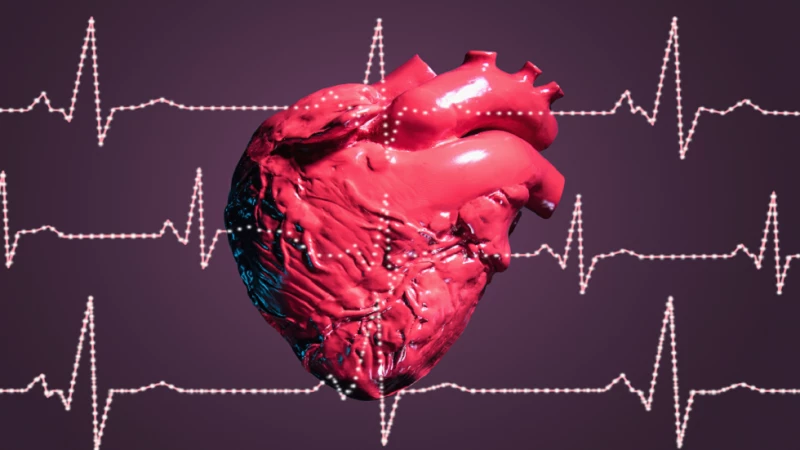 الكشف عن خلية مناعية تسرع من شفاء مرضى القلب