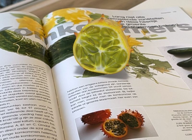 De voordelen van 3D-modellen in het onderwijs