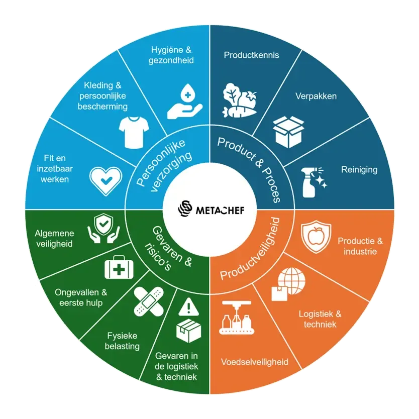 MetaChef Skill Circle