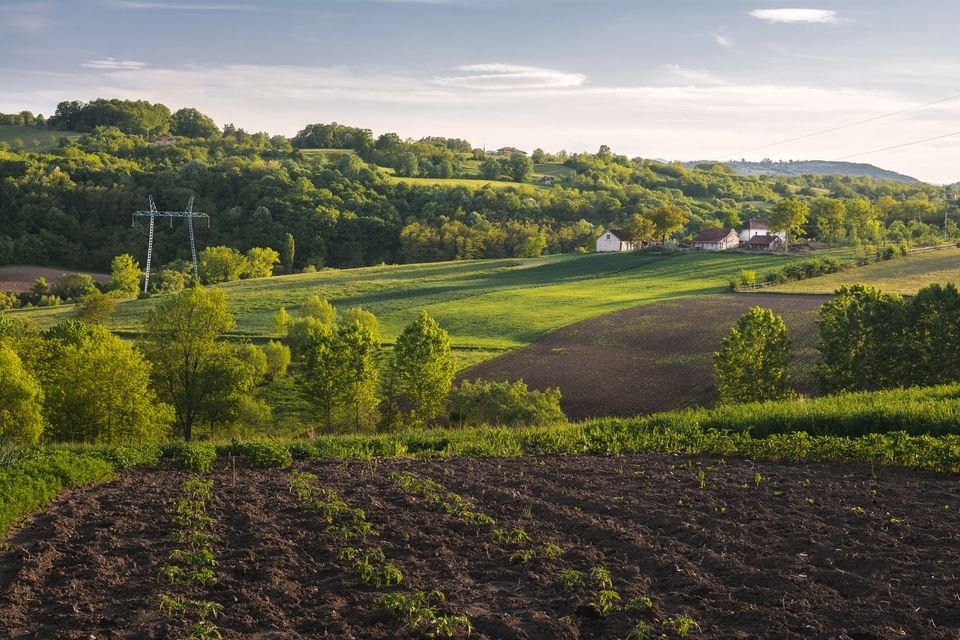 [beautiful-horizontal-shot-green-field-with-bushes-trees-small-houses-countryside_20.jpeg]