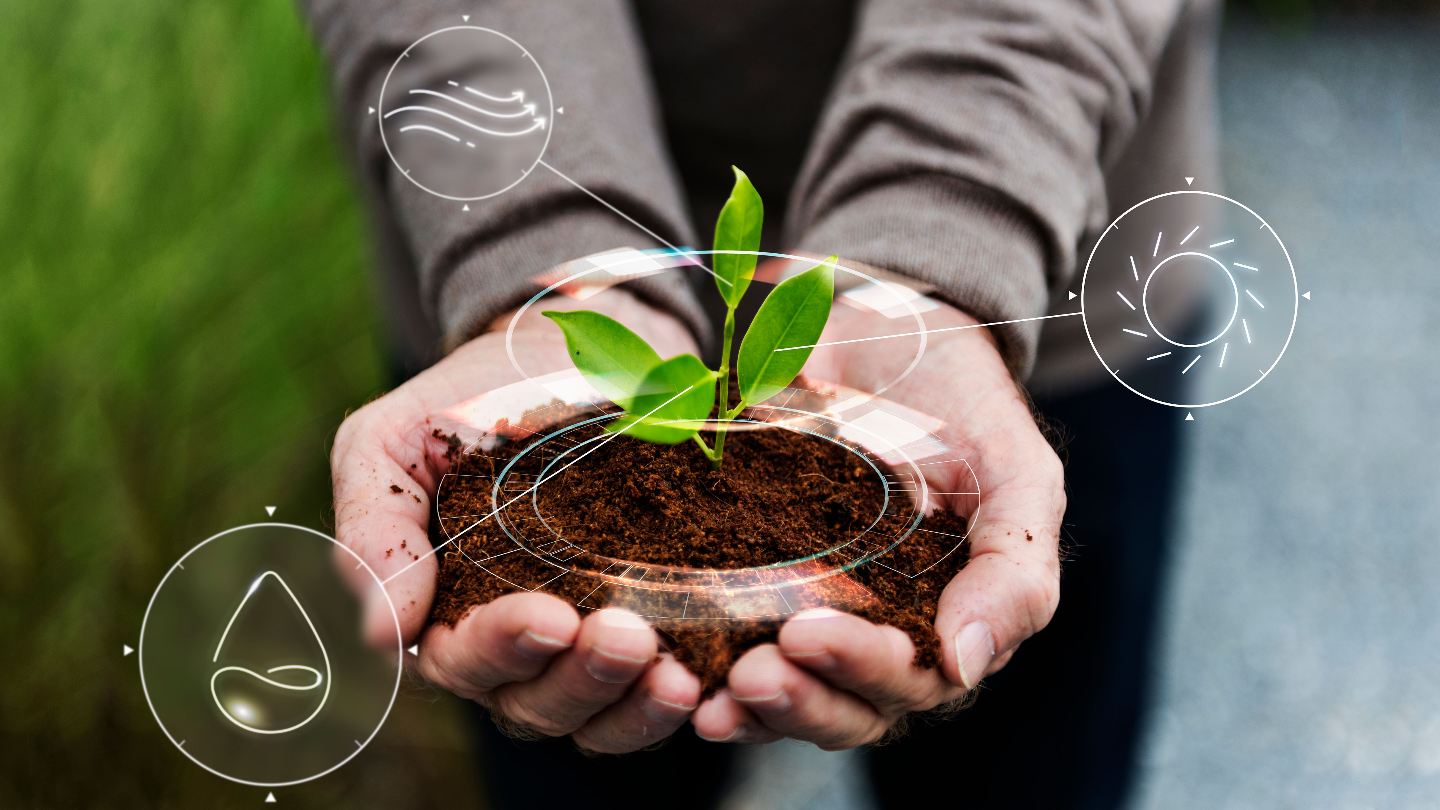 [smart-agriculture-iot-with-hand-planting-tree-background.jpg]